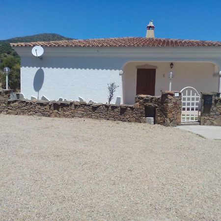 Sa Tanca De Su Mare Bed and Breakfast Budoni Buitenkant foto